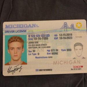 Michigan Drivers License