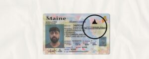 Buy Maine Drivers License Fake front