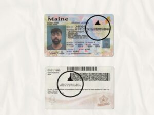Buy Maine Drivers License Fake scan