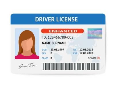 Fake ID and Driver's License