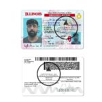Illinois Fake Driver’s License front and back - Fake Real Fake Illinois Drivers License