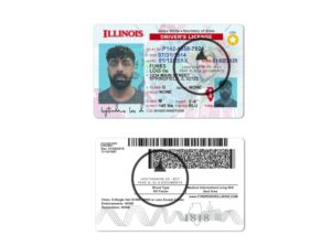Illinois Fake Drivers License front and back