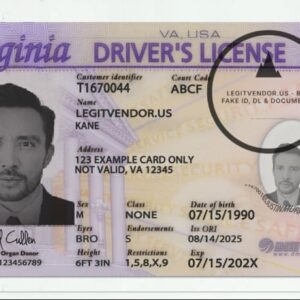 Virginia Fake Driver’s License front