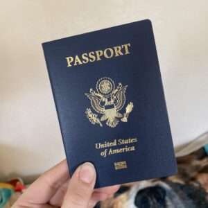 fake us passport