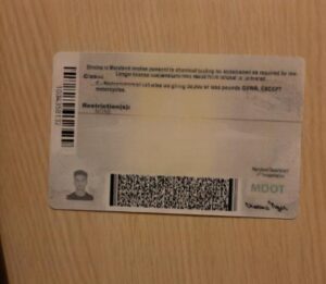 Fake Maryland Driver License