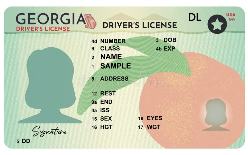 Georgia State ID: All You Need to Know About