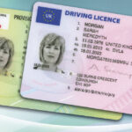 Provisional License -