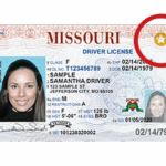 Missouri Drivers License